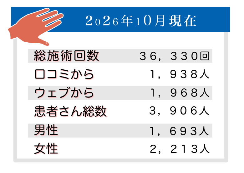 毎月の実績